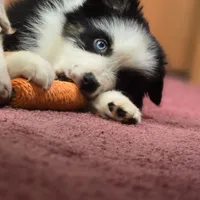 processed/5a61a31f-0e75-4f62-99c7-2ee9042054a4/facility/119e55bf-2042-4609-b0d1-aceecf52d9b6