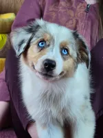 processed/5a61a31f-0e75-4f62-99c7-2ee9042054a4/facility/266bee8b-a4e0-415e-90c7-708f8efec8d5