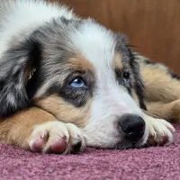 processed/5a61a31f-0e75-4f62-99c7-2ee9042054a4/facility/789d40c0-b648-4545-85a2-d0b4c8a6932d