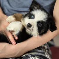 processed/5a61a31f-0e75-4f62-99c7-2ee9042054a4/facility/78a6b369-3a63-4153-b544-1d9d05aabbd1