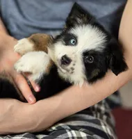 processed/5a61a31f-0e75-4f62-99c7-2ee9042054a4/facility/78a6b369-3a63-4153-b544-1d9d05aabbd1