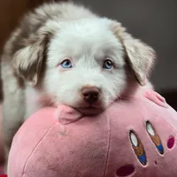 processed/5a61a31f-0e75-4f62-99c7-2ee9042054a4/facility/93c6236c-0804-4490-8fc3-5d3ee49a62dd