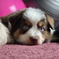 processed/5a61a31f-0e75-4f62-99c7-2ee9042054a4/facility/ae9defd0-1b4a-4271-94eb-826a46831134