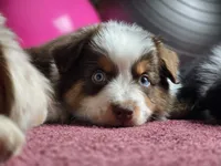 processed/5a61a31f-0e75-4f62-99c7-2ee9042054a4/facility/ae9defd0-1b4a-4271-94eb-826a46831134