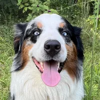 processed/5a61a31f-0e75-4f62-99c7-2ee9042054a4/facility/c84c59ea-587c-421e-a750-34d31c6d4e4d