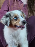 processed/5a61a31f-0e75-4f62-99c7-2ee9042054a4/facility/d56773c7-5f1d-4cc4-97c0-b366a804efae