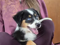 processed/5a61a31f-0e75-4f62-99c7-2ee9042054a4/listing/75ce0173-5cbf-4876-8f0b-c30c3b28f8d0/2008755a-a918-4171-8312-a12de145107e