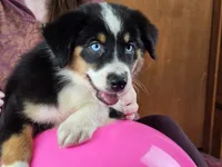 processed/5a61a31f-0e75-4f62-99c7-2ee9042054a4/listing/75ce0173-5cbf-4876-8f0b-c30c3b28f8d0/43a60862-8ad6-4164-9afe-1ad4517d8389