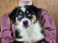 processed/5a61a31f-0e75-4f62-99c7-2ee9042054a4/listing/75ce0173-5cbf-4876-8f0b-c30c3b28f8d0/45cc28d2-4ec3-4a15-a477-6c0f2fa3f26d