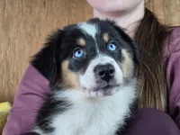 processed/5a61a31f-0e75-4f62-99c7-2ee9042054a4/listing/75ce0173-5cbf-4876-8f0b-c30c3b28f8d0/5f19c4b7-d137-418d-bb23-baffcce1c28f