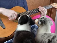 processed/5a61a31f-0e75-4f62-99c7-2ee9042054a4/listing/75ce0173-5cbf-4876-8f0b-c30c3b28f8d0/6e0365f5-1318-4ead-81dc-661ac6c72b61