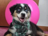 processed/5a61a31f-0e75-4f62-99c7-2ee9042054a4/listing/75ce0173-5cbf-4876-8f0b-c30c3b28f8d0/781e2d02-a06d-457b-a85b-5ecdbf3d84cd