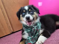 processed/5a61a31f-0e75-4f62-99c7-2ee9042054a4/listing/75ce0173-5cbf-4876-8f0b-c30c3b28f8d0/9eada1e5-aa3d-41ee-a9c5-6f726388fe68