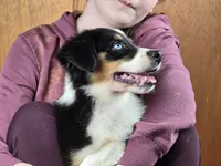 processed/5a61a31f-0e75-4f62-99c7-2ee9042054a4/listing/75ce0173-5cbf-4876-8f0b-c30c3b28f8d0/c54e7fef-8ce2-4c60-a0fd-b19e5bf07c65