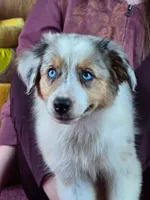 processed/5a61a31f-0e75-4f62-99c7-2ee9042054a4/listing/cf34bfef-5391-46c2-9b67-af1f275f278d/0f448848-dde8-45c2-be58-4cb9398cf16e