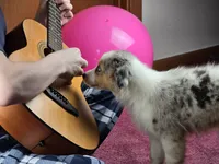 processed/5a61a31f-0e75-4f62-99c7-2ee9042054a4/listing/cf34bfef-5391-46c2-9b67-af1f275f278d/37660169-181f-4482-baf0-13126726c978