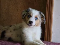 processed/5a61a31f-0e75-4f62-99c7-2ee9042054a4/listing/cf34bfef-5391-46c2-9b67-af1f275f278d/5c20a3a9-44d1-4e9c-a763-9d7d4785190a