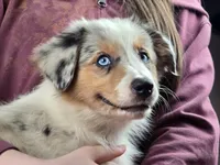 processed/5a61a31f-0e75-4f62-99c7-2ee9042054a4/listing/cf34bfef-5391-46c2-9b67-af1f275f278d/b0dde625-6631-482d-ad89-7dbd9c67bb6d