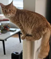 processed/5a64de47-e318-4da0-8a9e-485ac9944b5a/facility/3cfa2ede-354e-45b2-9de1-16682a50355a