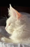 processed/5a64de47-e318-4da0-8a9e-485ac9944b5a/facility/d691db28-2fcf-43dc-80f2-bf229bb52336