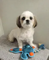 processed/5a664ec7-82bb-4079-a807-fb1cef72179f/listing/baa24ef6-89d9-4440-87fb-d09caf9aa6c7/6066a410-bb02-47f1-bb1a-a09d80c421aa