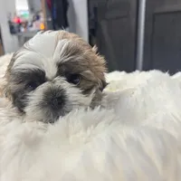 processed/5a67ad1f-91f9-4038-ac51-f5d9be382bfe/facility/957f8fee-3f9a-443c-9f9f-47d31ac9ab34