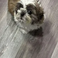 processed/5a67ad1f-91f9-4038-ac51-f5d9be382bfe/facility/9f452796-4076-4223-913b-1452537ad610