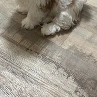 processed/5a67ad1f-91f9-4038-ac51-f5d9be382bfe/facility/a9465b70-5396-4c57-b7df-89b95399ee09