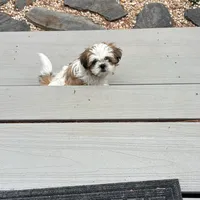 processed/5a67ad1f-91f9-4038-ac51-f5d9be382bfe/facility/faaa5621-2459-4089-b980-e59cc61f0c4b