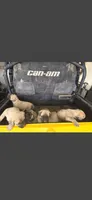 Lilly, a male English Mastiff for sale in Belen, NM – 3 of 7