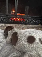 processed/5a800436-419d-48ee-9c27-66ed0e0b108c/listing/3ba7dfac-a269-45d8-9bc3-fe9becb5cf0c/7fcedc37-de57-48b3-a8fa-1a26a52b1c94