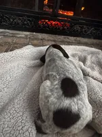 processed/5a800436-419d-48ee-9c27-66ed0e0b108c/listing/b05c20c8-b641-4e82-9f8c-3eec4e6f7e6b/905d6896-2b05-41c4-81cf-212b84e07041