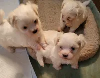 processed/5a85b90f-4f78-4a59-9b2c-417f0100fc68/listing/46b8e1b0-f2bd-4c0b-ab8b-e48d85b6519a/9184995a-ff92-44f0-958e-10f50fe3a1b9