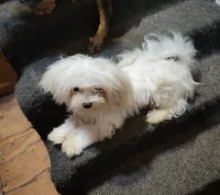 processed/5a85b90f-4f78-4a59-9b2c-417f0100fc68/listing/46b8e1b0-f2bd-4c0b-ab8b-e48d85b6519a/f63cd16f-9f4a-42f3-9ce3-ad25bfbcbdf1