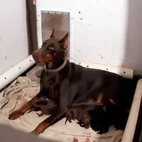 processed/5a900fa6-8594-417e-b6e8-b5fee288fe49/facility/13047ed9-daf4-4e41-9d90-e622ed4ffe4e