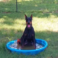 processed/5a900fa6-8594-417e-b6e8-b5fee288fe49/facility/1508234c-c15a-4bc7-8cb5-0945f0c2a583