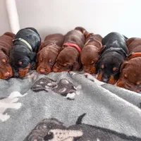 processed/5a900fa6-8594-417e-b6e8-b5fee288fe49/facility/4dd28932-aae6-4933-b1da-bd9a9fb86491