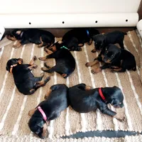 processed/5a900fa6-8594-417e-b6e8-b5fee288fe49/facility/8b3ef564-3195-4e4b-a761-171c642af05c