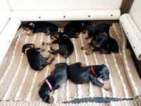 processed/5a900fa6-8594-417e-b6e8-b5fee288fe49/facility/8b3ef564-3195-4e4b-a761-171c642af05c