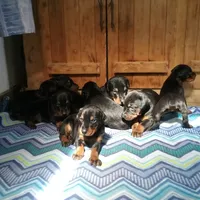 processed/5a900fa6-8594-417e-b6e8-b5fee288fe49/facility/a9143b46-65b1-48ff-8232-703a0c9b602f