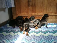 processed/5a900fa6-8594-417e-b6e8-b5fee288fe49/facility/a9143b46-65b1-48ff-8232-703a0c9b602f