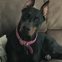 processed/5a900fa6-8594-417e-b6e8-b5fee288fe49/facility/df7c544e-b5a3-497d-a135-ad3359e59024