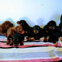 processed/5a900fa6-8594-417e-b6e8-b5fee288fe49/facility/f2b8008e-df6a-4daf-945d-cb44edd60ab0