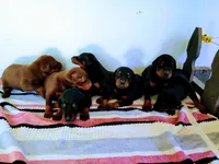 processed/5a900fa6-8594-417e-b6e8-b5fee288fe49/facility/f2b8008e-df6a-4daf-945d-cb44edd60ab0