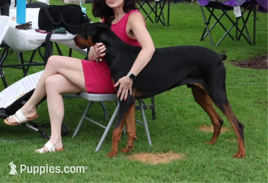 processed/5a900fa6-8594-417e-b6e8-b5fee288fe49/listing/d0174639-3fdb-45eb-ad02-e09de5fe8fb8/3a6ab25d-68e6-4d2b-a78c-43bfc20a53bb