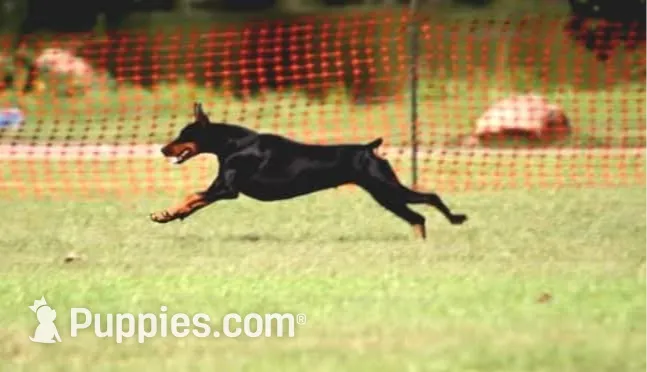 processed/5a900fa6-8594-417e-b6e8-b5fee288fe49/listing/d0174639-3fdb-45eb-ad02-e09de5fe8fb8/81b6199f-c413-49b7-a931-11918c2b89f2