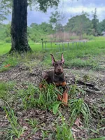 processed/5a900fa6-8594-417e-b6e8-b5fee288fe49/listing/d0174639-3fdb-45eb-ad02-e09de5fe8fb8/a0b98f2a-40ba-4454-974b-2ab68dfa5e04