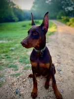 processed/5a900fa6-8594-417e-b6e8-b5fee288fe49/listing/d0174639-3fdb-45eb-ad02-e09de5fe8fb8/dfced8a2-273d-4b0c-9c1d-1db0016eb4ed