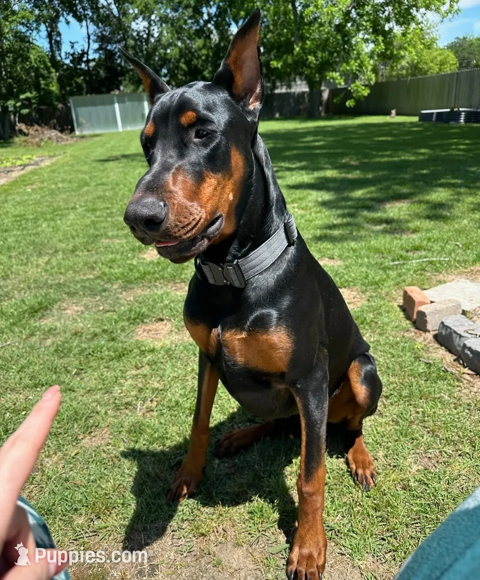 processed/5a900fa6-8594-417e-b6e8-b5fee288fe49/listing/d0174639-3fdb-45eb-ad02-e09de5fe8fb8/f62f6f74-36a8-404b-b8dd-bad85e6a9a5b