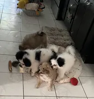 processed/5a945c90-5a84-489f-b85a-f62f782790fd/facility/28fe3247-74ab-47a8-938a-f400dfe51c21